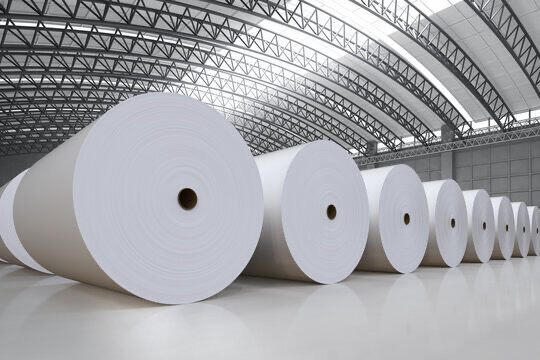 Shri Durga Papers Private Limited